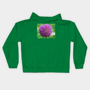 Allium Giganteum Kids Hoodie